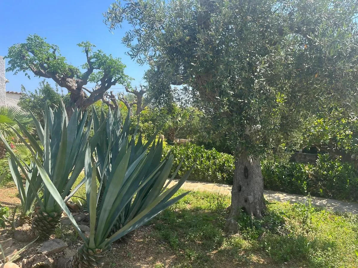 Nespolilla Villa Petrosino Holiday home